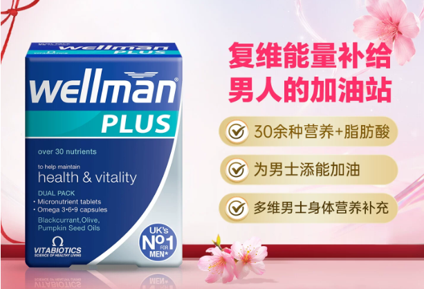 Wellman男士复合维生素